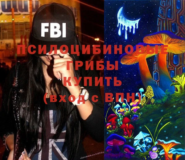 2c-b Армянск
